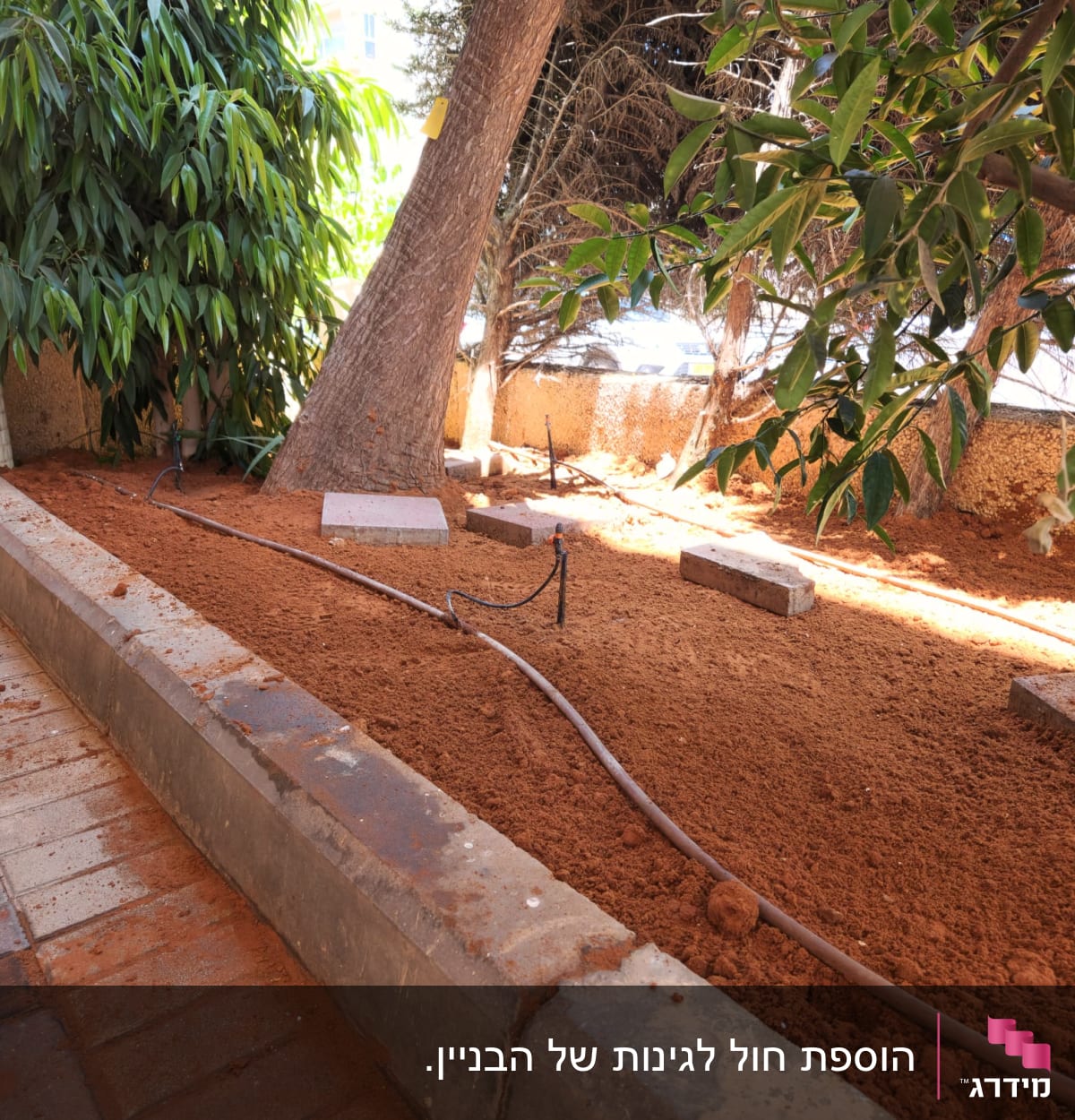 צינור השקיה בגינה עם עצים וקרקע חומה